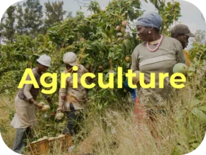 Agriculture 1
